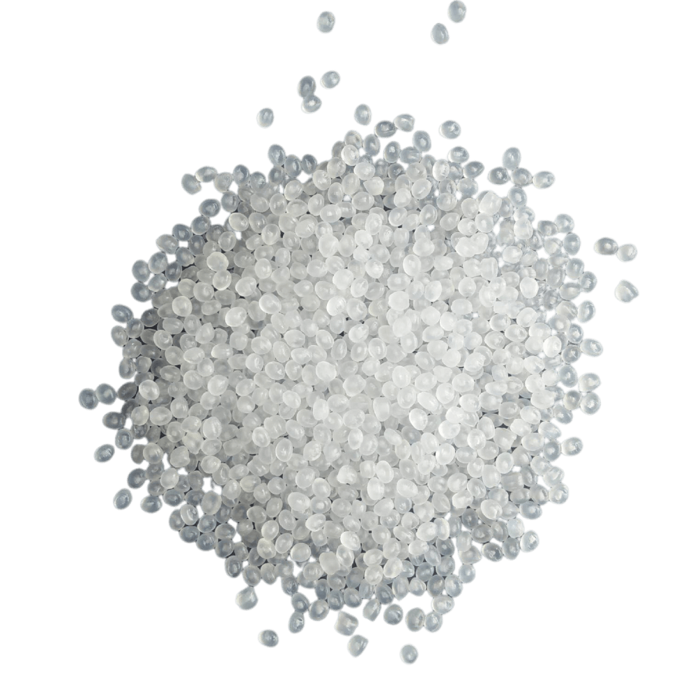 วิชาพลศึกษา